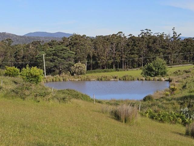 Land LYMINGTON TAS 104948741