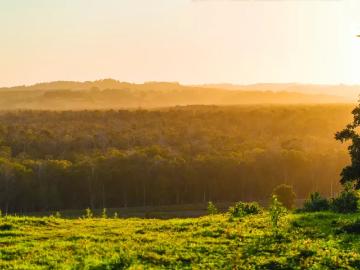 Land for sale in New South Wales