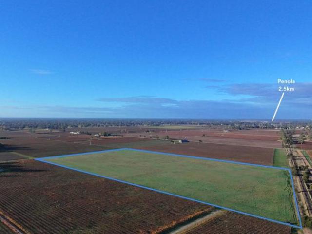 Land Penola SA 104880024