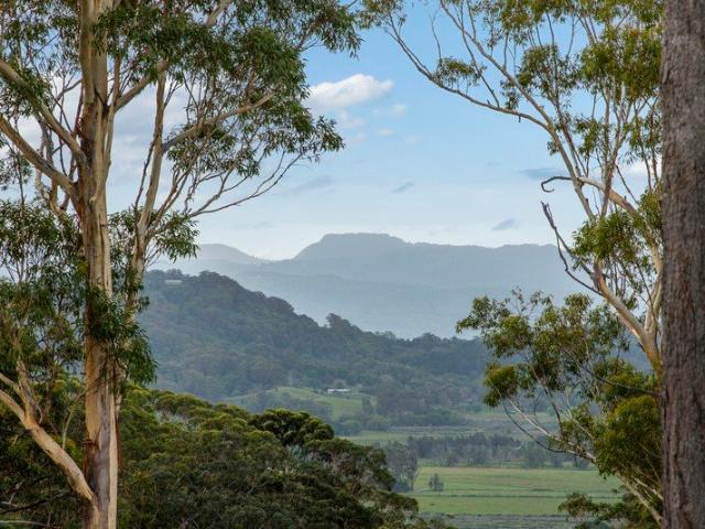 LAND RELEASE 1 HECTARE LOTS NEAR CABARITA BEACH!