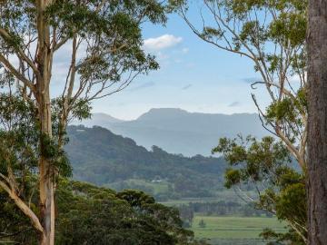 LAND RELEASE 1 HECTARE LOTS NEAR CABARITA BEACH!