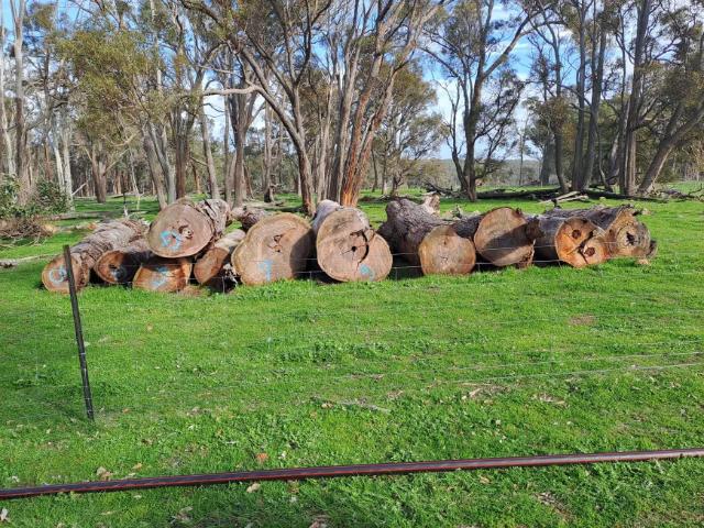 Land SCOTTS BROOK WA 106034976