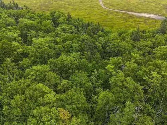 Land Sherbrooke Road, Moose River, NS, B2H 5C8 vacant land f.