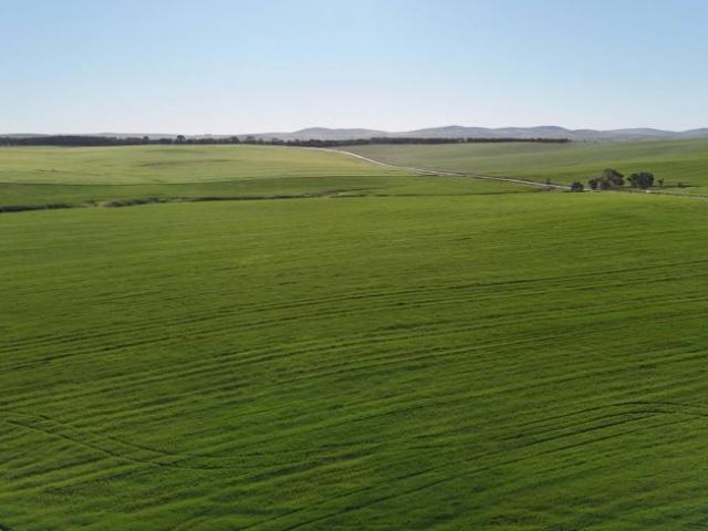 Land Spalding SA 105865130
