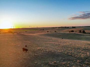 Land to rent in South Australia