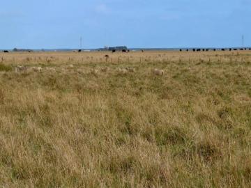 Land to rent in South Australia