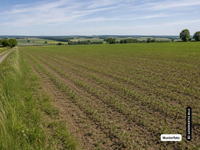 Land /Forstfläche Neumagen Dhron Eine Gelegenheit für Käufer ohne Maklerprovision