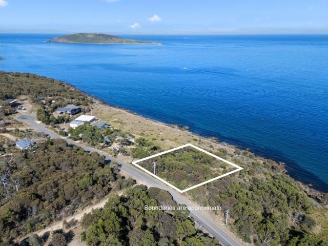 Land WHITE BEACH TAS 104952387