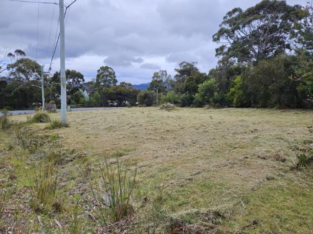 Land WHITE BEACH TAS 104954855