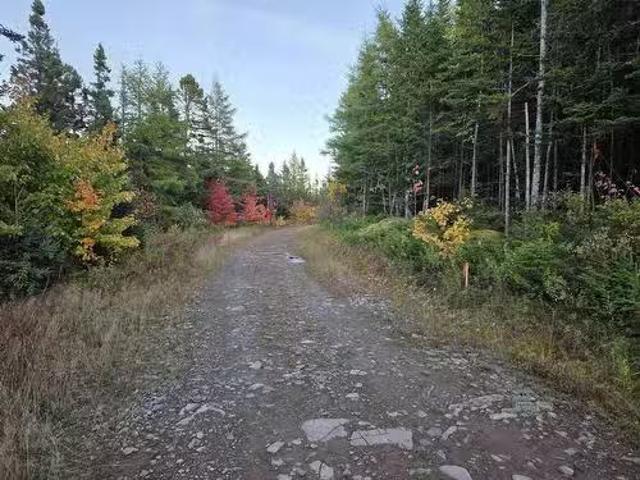 Land 104 Highway, River Bourgeois, NS, B0E 2X0 vacant land f.