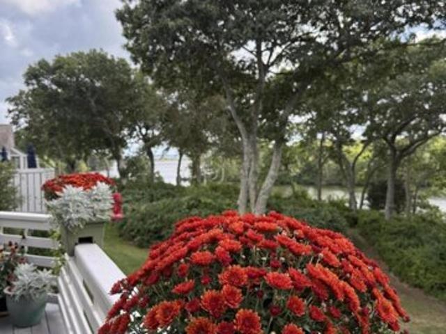 Landfall Unit,falmouth, Condo For Sale