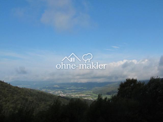Landhaus, 3 Wohnungen, Alleinlage, unverbaubarer Fernblick, Südlage, Urlaubsregion Sonnenwald
