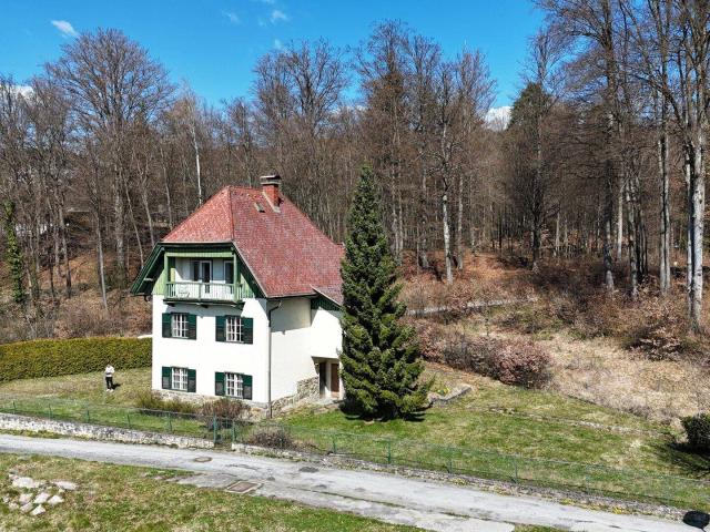 Landhaus von 1930 am Waldrand – drei Ebenen und viel Raum für Ideen– Zentrum zu Fuß erreichbar