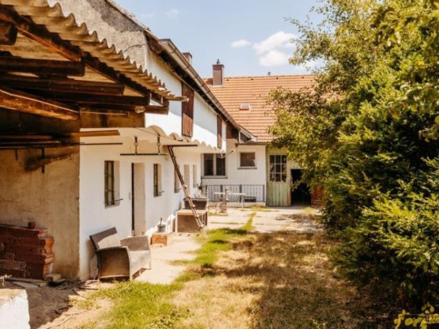 Landhaus mit Typisch Weinviertler'Trettn