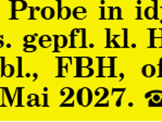 Landleben auf Probe
