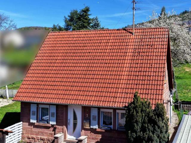 Landleben pur: Saniertes Einfamilienhaus in ruhiger Lage mit Scheune, Carport und Wiese