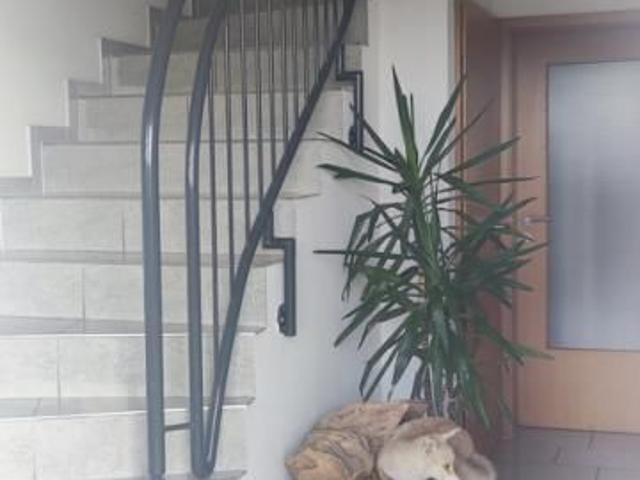 Ländlich gelegene 3 Zi. Wohnung in Ahaus Alstätte zu vermieten