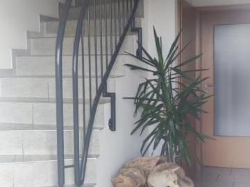 Ländlich gelegene 3 Zi. Wohnung in Ahaus Alstätte zu vermieten