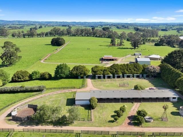 Landsborough Stud A Legacy of Performance & Prestige