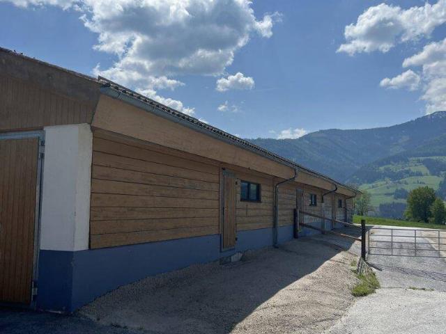Landwirtschaft mit Haus, Hallen und Stallgebäude
