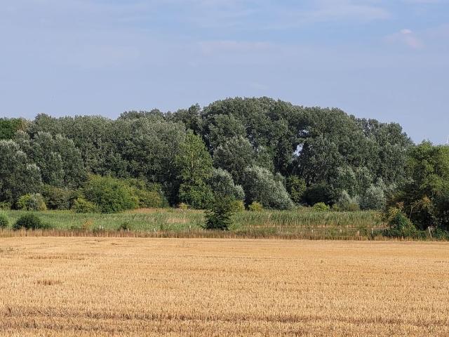 Landwirtschaftliche Fläche bei Prenzlau Wollenthin See zu verkaufen