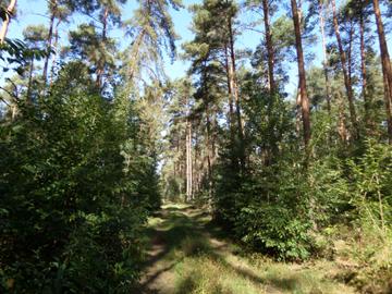 Rathenow, Havelland, Sachsen-Anhalt