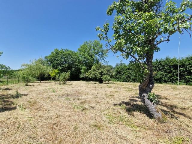 L'anglaise du Village qui fait son Show 126m² Saint Pourçain sur Sioule