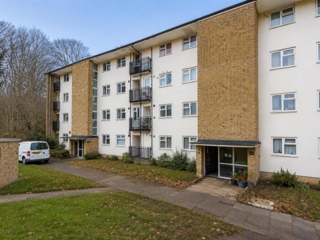 Ladyshot, Harlow