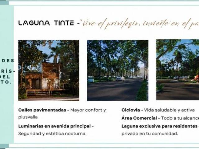 LAGUNA TINTE BACALAR