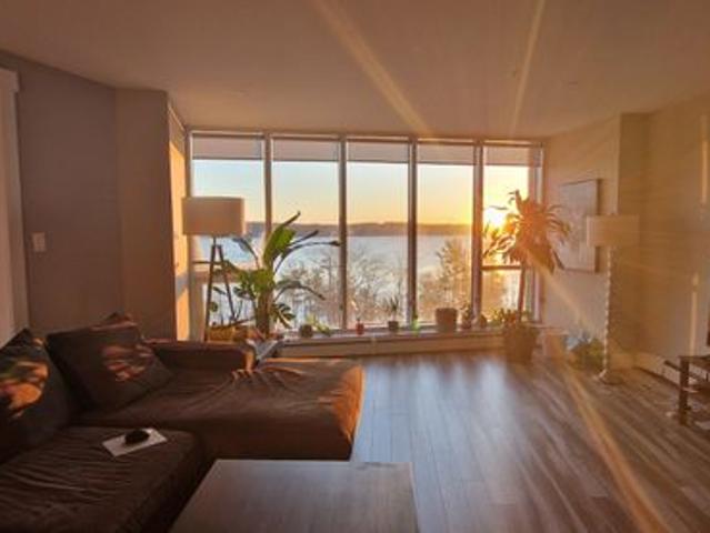 Lagworthy Lag Has an Apartment