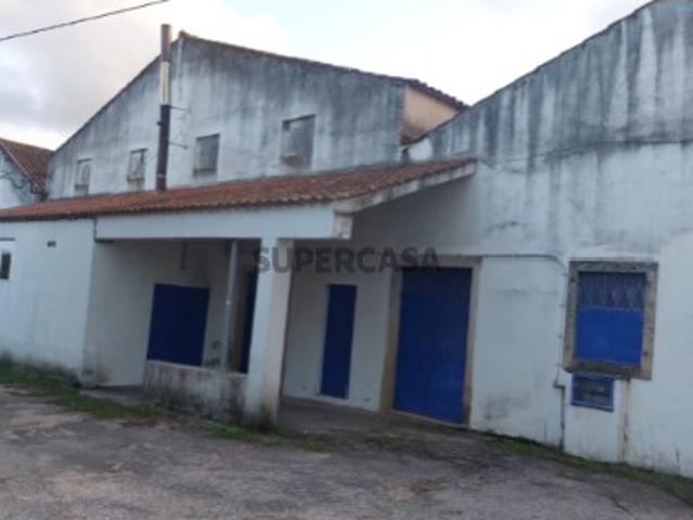 Lagar de Azeite, Olalhas,Tomar