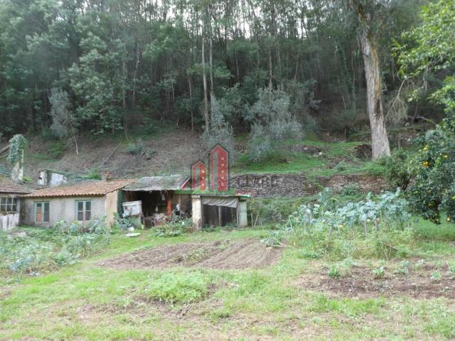 Lagar desativado Torres do Mondego / Zona de Ceira