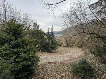 Villa mit Geschichte & Zukunft – Hinterbrühl bei Wien