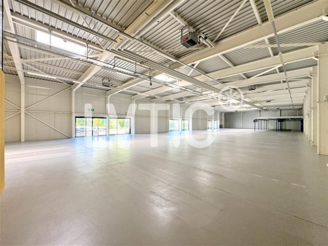 Lager, Showrooms, Lagerhallen von 1000 m2 in Yverdon zu vermieten