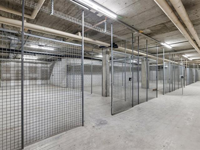 Lagerfläche mit 280 m² Vielseitige Nutzungen möglich!
