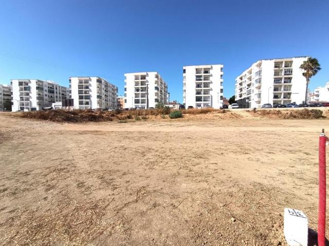 Lagoa Faro 104793509