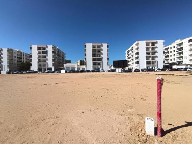 Lagoa Faro 104793513