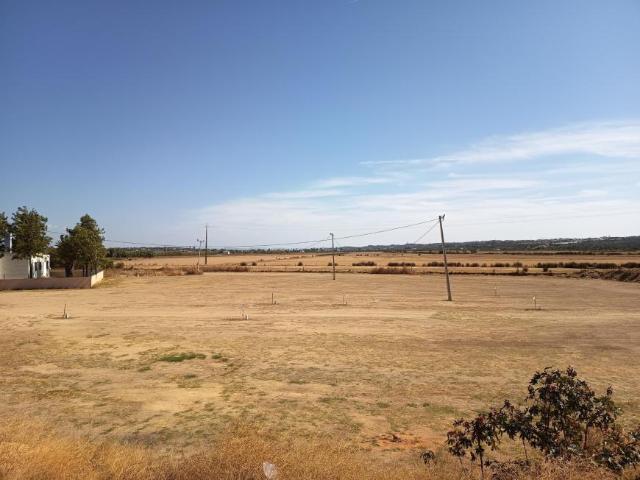 Lagoa Faro 104793524