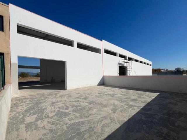 Lagoa Lagoa 87036771