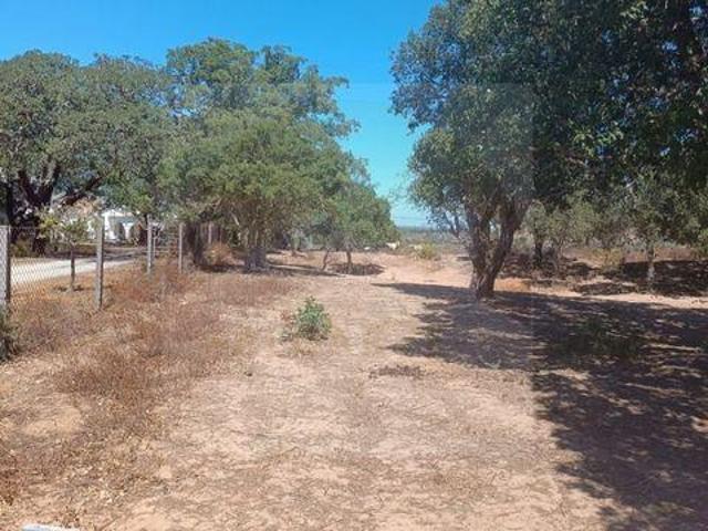 Lagos Faro 97100841