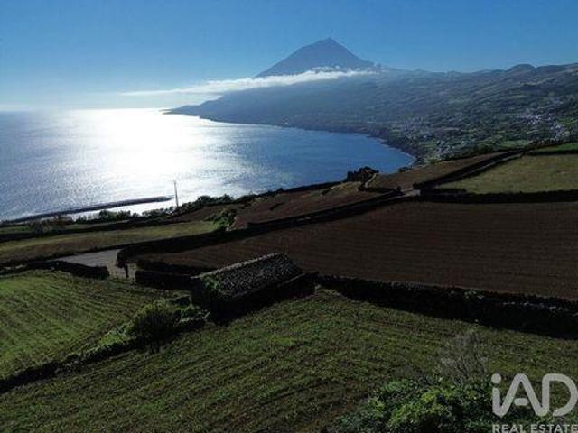 Lajes Do Pico Ilha Do Pico LS104111322