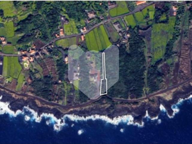 Lajes do Pico Lajes do Pico 103175733