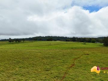 Lake Barrine Road