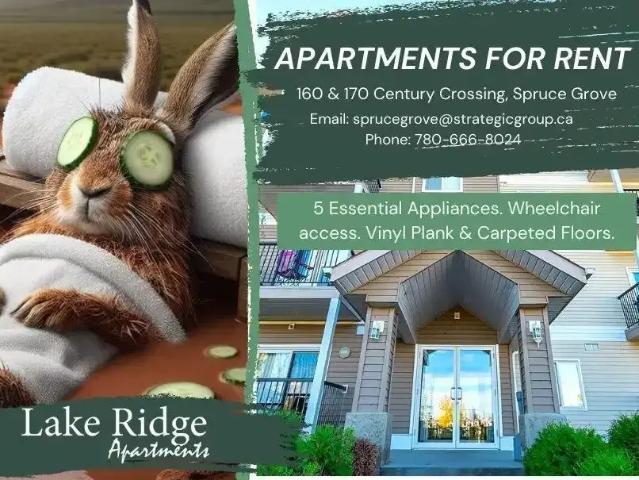Lake Ridge Apartments