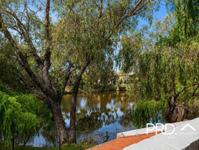 Lake Views & Peaceful Surrounds in the Heart of Maylands
