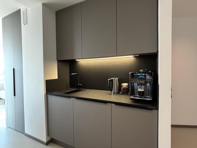 Lakeview Design Apartment