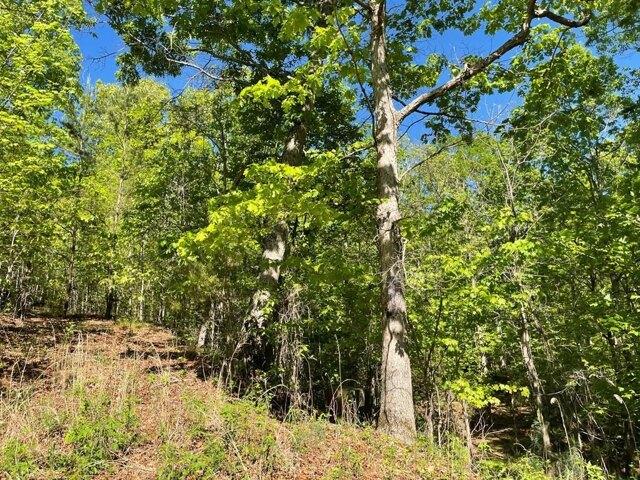 Lakeview Hts Lot,hayesville, Plot For Sale