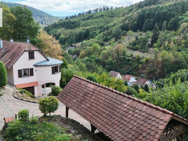 Lalaye Maison en impasse avec garage et dépendance
