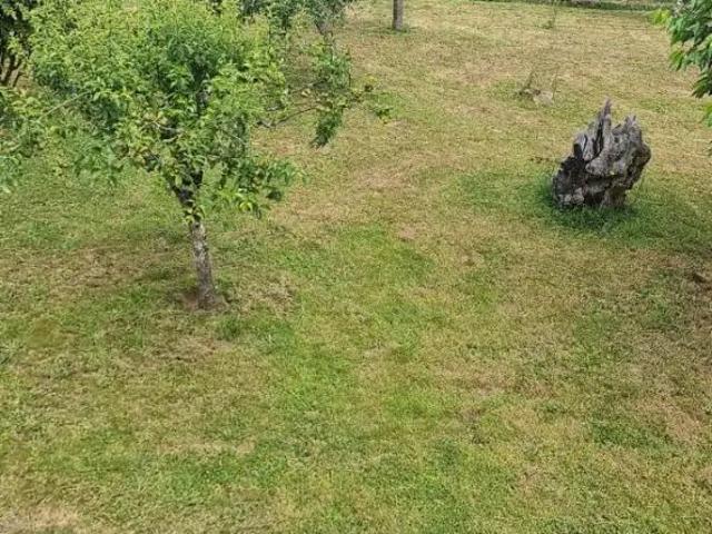 Lalín