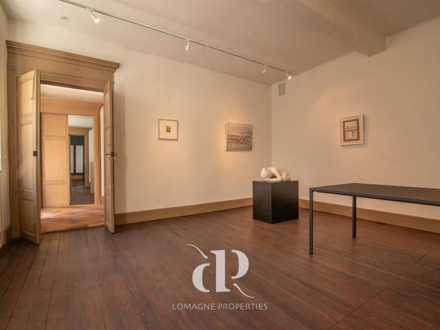 L'art de vivre Une maison de village audacieusement restauré. 330m² Castelsagrat